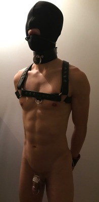 bearlywill.tumblr.com post 165276891075