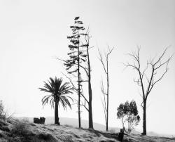 freakyfauna:  Edge of San Timoteo Canyon,