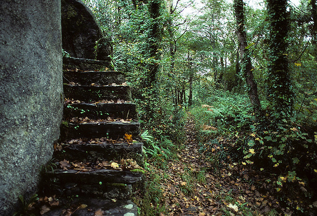 natureac:Take The 52 Week Photo Challenge or Check Out DSLR cameras here
