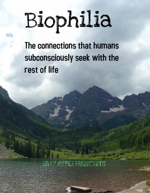 dirtyhippieproductions:  Biophilia - The connections that human beings subconsciously seek with the rest of life.  Follow Us On FacebookFollow us on TwitterOur Etsy Shop