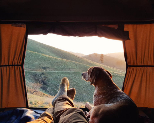 conflictingheart:  Photographer Takes His Rescued Dog Maddie On Epic Adventures    Sin duda son los mejores amigos!