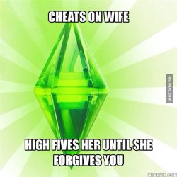 funfactsfotos:  Sims logic