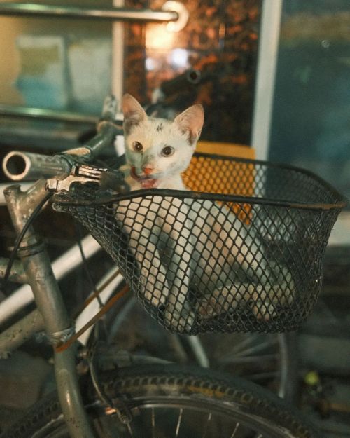 19:54 bucket #streetphotography #SPiCollective #streetleaks #catsofinstagram #maldives #fujifilm #fu