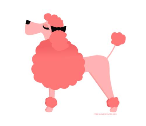 XXX saradrawsdaily:Pink poodle. photo