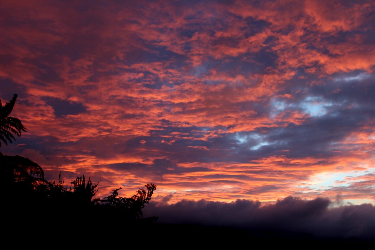 disaffecting:
“ Sunrises outside my room are sometimes cool // 09.06.14
”