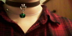 curiouspetkitten:  Guess who got her collar today?  /Kitten is a very happy kitten right now/. +Kitten+  (Collar was made by TiggersCollars on Etsy.)