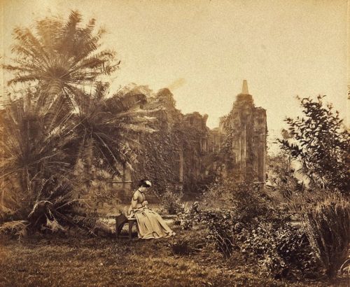 Gothic ruin with creepers in Barrackpore Park, India, 1865. (Photo: Samuel Bourne)