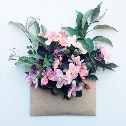 mymodernmet - Delicate Arrangements of Vibrant Flowers Complement...