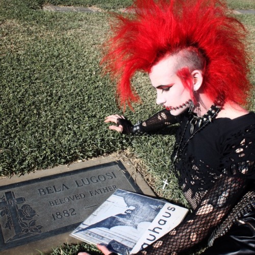motherofmercy:Had to make sure Bauhaus wasn’t lying