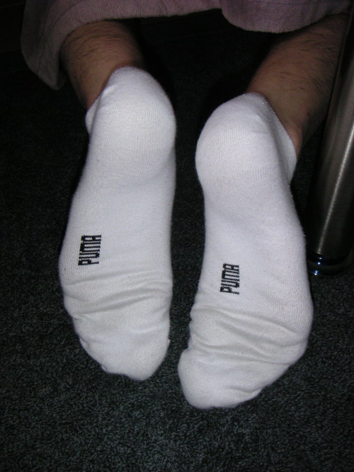 Danimalsox