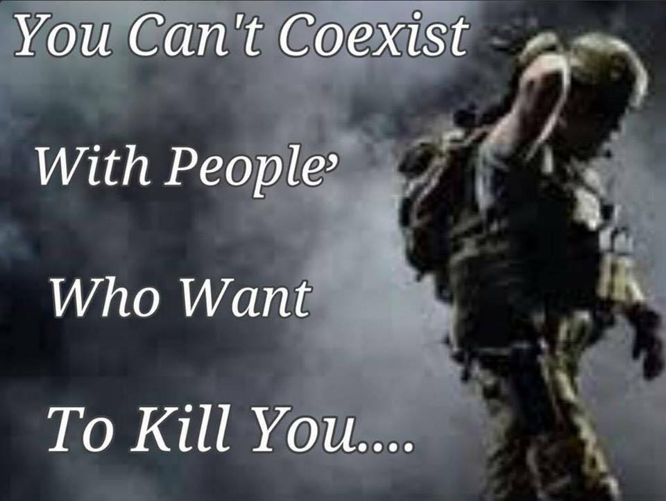 theamericanpatriotpage:  WAKE THE FUCK UP CIVILIANS  ***FLASH BANG***
