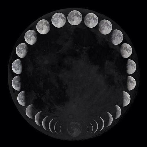 bee-willo:  Moon cycle. 