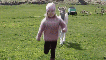 bonjour-oshare-san:  funnyandhilarious:  The Beginning Of A Beautiful Friendship