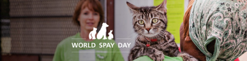 World Spay Day was only one day but every day is a good day to spay! 