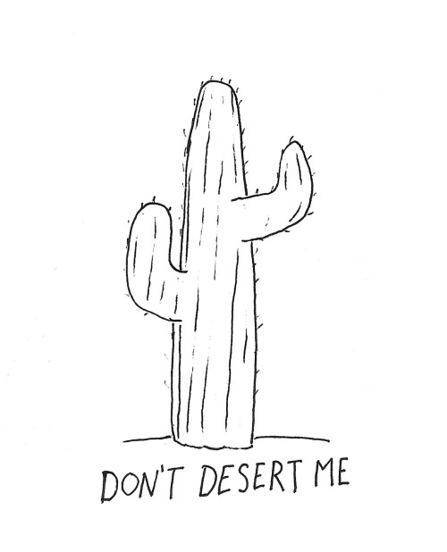 Cacti get a break?