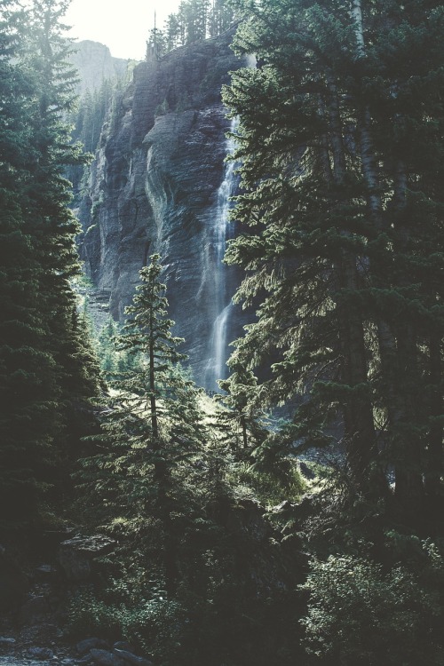 the-sundance-kiddo:mostly nature