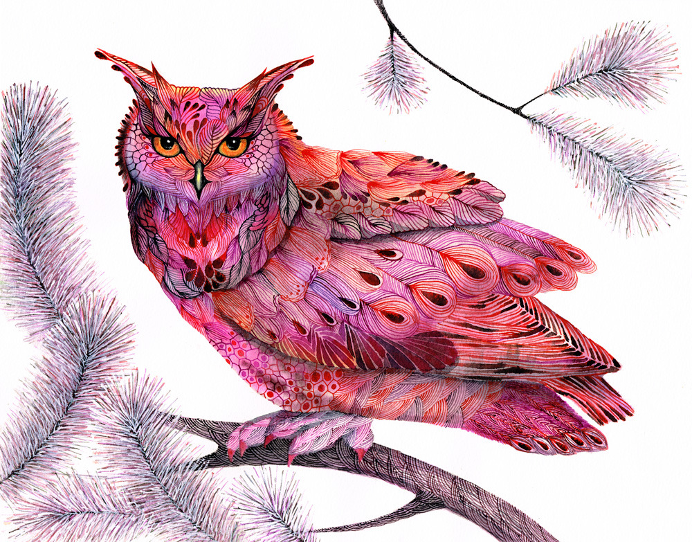 lohrien:  Illustrations by Ola Liola website l tumblr
