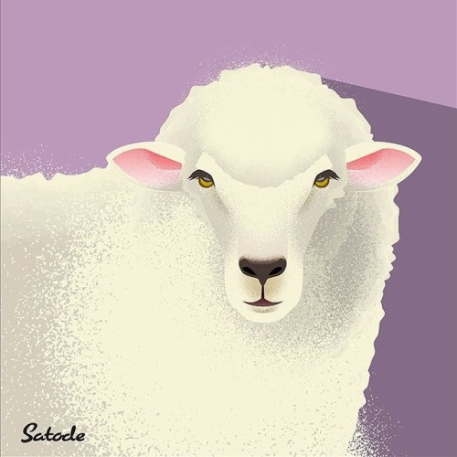 動物シリーズ No.8 Sheep / 羊 iStock、PXTAにて販売中。 #イラスト#イラスト販売#イラストレーション#絵#illustrator#illustration#イラストレーター#挿