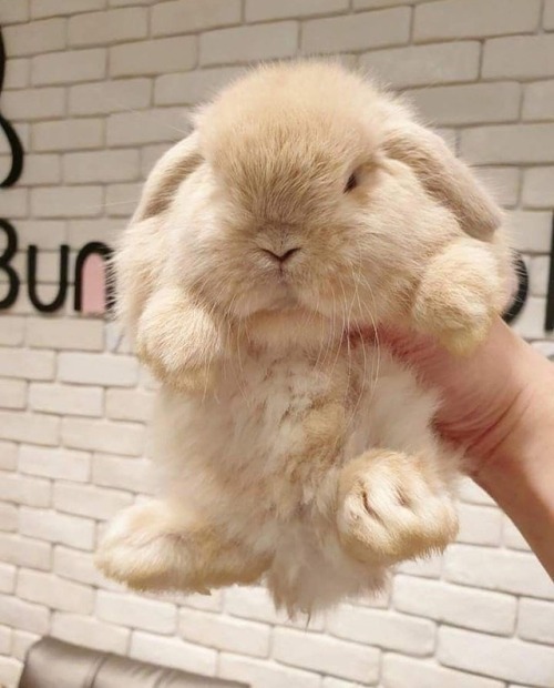 theanimalzone:source instagram ♡♡♡