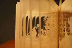 crossconnectmag:  reblog from supersonicart:  Yusuke Oono’s 3D Storybooks. Artist Yusuke Oono uses a laser cutter to create three dimensional story books that can be viewed a page at a time or by opening them fully which reveals a 3D landscape of the