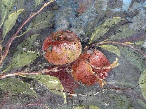 avgustaoktavia:Painted Garden, Villa of Livia (Detail with Pomegranate)