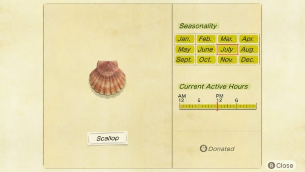 animal crossing scallop