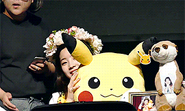 minaaari:Looks like a cinnamon roll and is actually a cinnamon roll