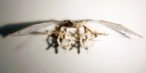 Study In Bird Motion By Joyce Lin