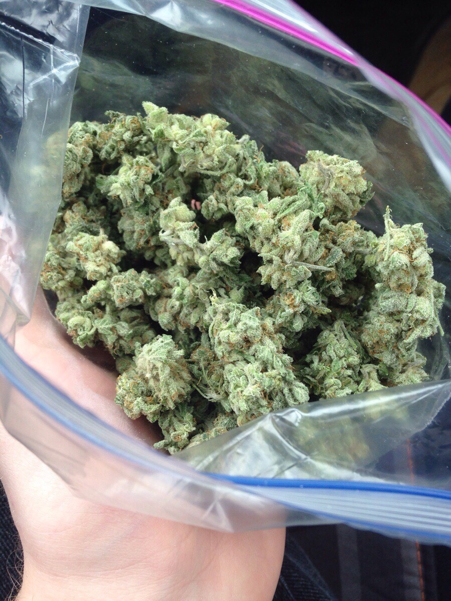 higheramerica:  Strawberry Banana Kush! 👀