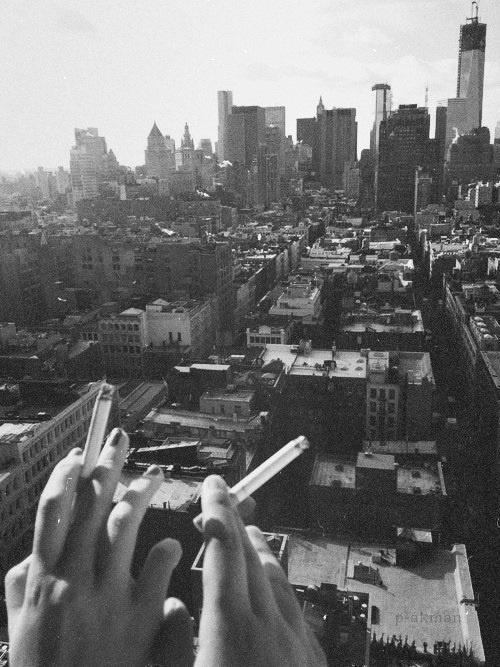 Miss nothing