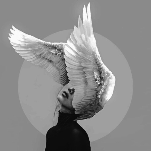 Black Swan Jikook