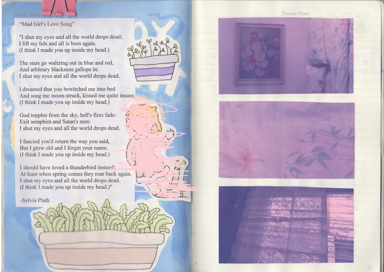skygrl:2015 journals !! w some stuff blocked out