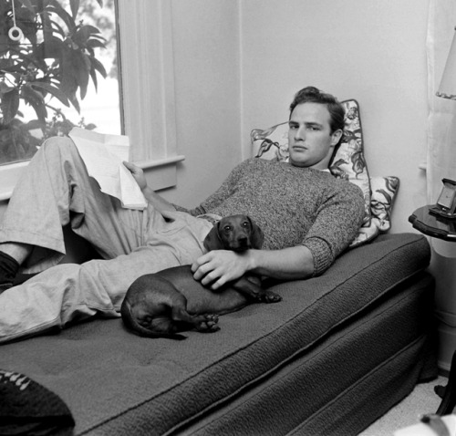 my-retro-vintage:  Marlon Brando in 1949