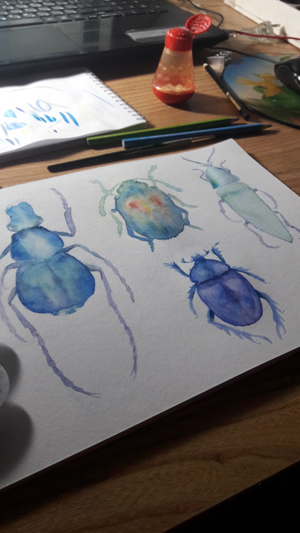 Beetles watercolor study, 2016