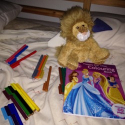 fu-fo:  Princess colouring and stuffies!
