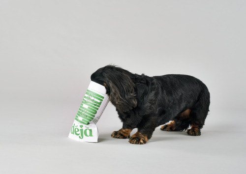 A zero-waste dog food brand designed by Milk NZ