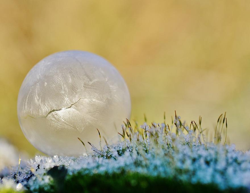 staceythinx:  Photographer Angela Kelly and her son experimented with blowing bubbles