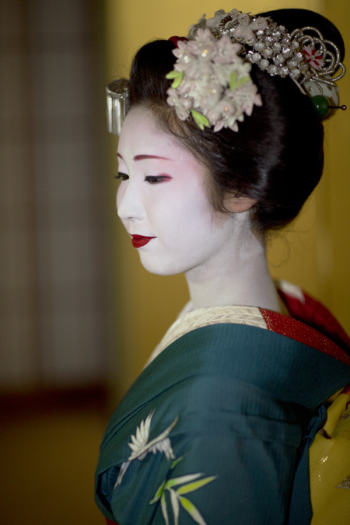 This usumono coordinate owned by Tsurui okiya (Gion Kobu) is for senior maiko, and has been worn by 