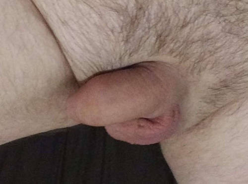 My soft cock, freshly shaved and oiled ready adult photos