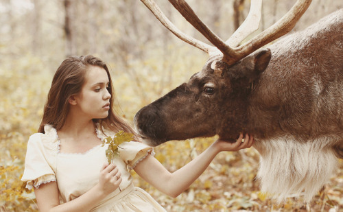 crystalizedforest: deerypoof:   Katerina Plotnikova is a Russian photographer that has become well k