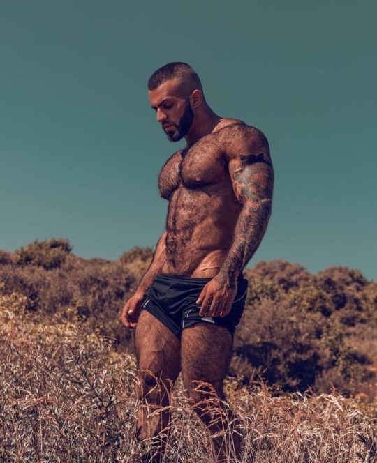 bearlyapup:  