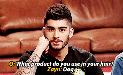 zaynsxo:  + 