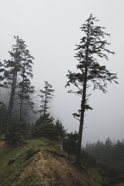 danielodowd:  Oregon_0391 by Nicole Franzen