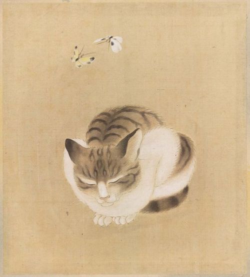 annedebretagneduchesseensabots:Cat dreaming of butterflies dreaming of cat . Unknown Japanese artist