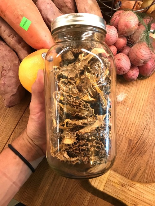April 2018 It’s been a great morel season this year. Moreover, with the rain and cool weather 