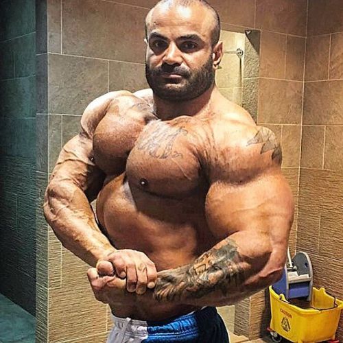 myfavoritemusclemen:  Hesam Aliakbar