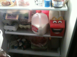 sstrange-cloudss:  thugseme:  JESUS CHRIST I OPENED THE FRIDGE TO GET SOMETHING TO EAT AND THIS FUCKING THING WAS STARING AT ME  I feel ya milk is pretty scary when you’re lactose intolerant 
