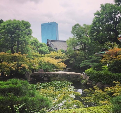 ＼おにわさん更新情報／ ‪[ 大阪府大阪市 ] 太閤園庭園 Taiko-en Garden, Osaka の写真・記事を更新しました。 ・・・・・・・・ 大坂城の北側、淀川のすぐ近くにある料亭・結婚式