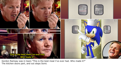 fanfictionimg:  Gordon Ramsay was in tears “This is the best meal I’ve ever had. Who made it?” The kitchen doors part, and out steps Sonic  always