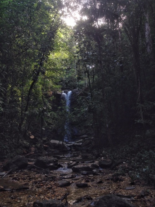 theeyeoftroy: Avocat waterfall, Blanchisseuse, Trinidad. Copyright 2017 Troy De Chi. All rights rese